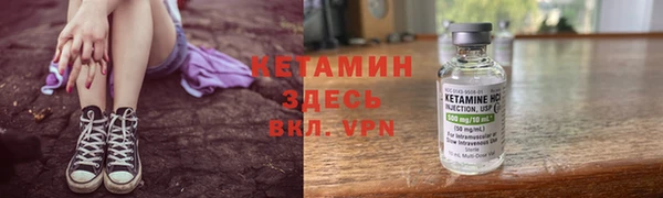 прущие грибы Сафоново