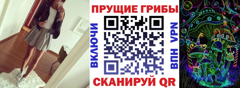 закладки  Горячий Ключ  Псилоцибиновые грибы мухоморы 
