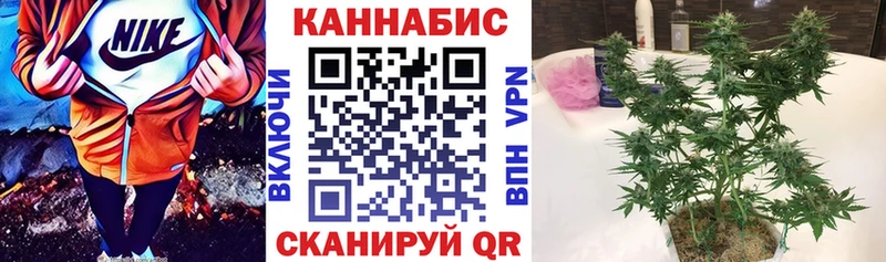 Конопля Bruce Banner Горячий Ключ